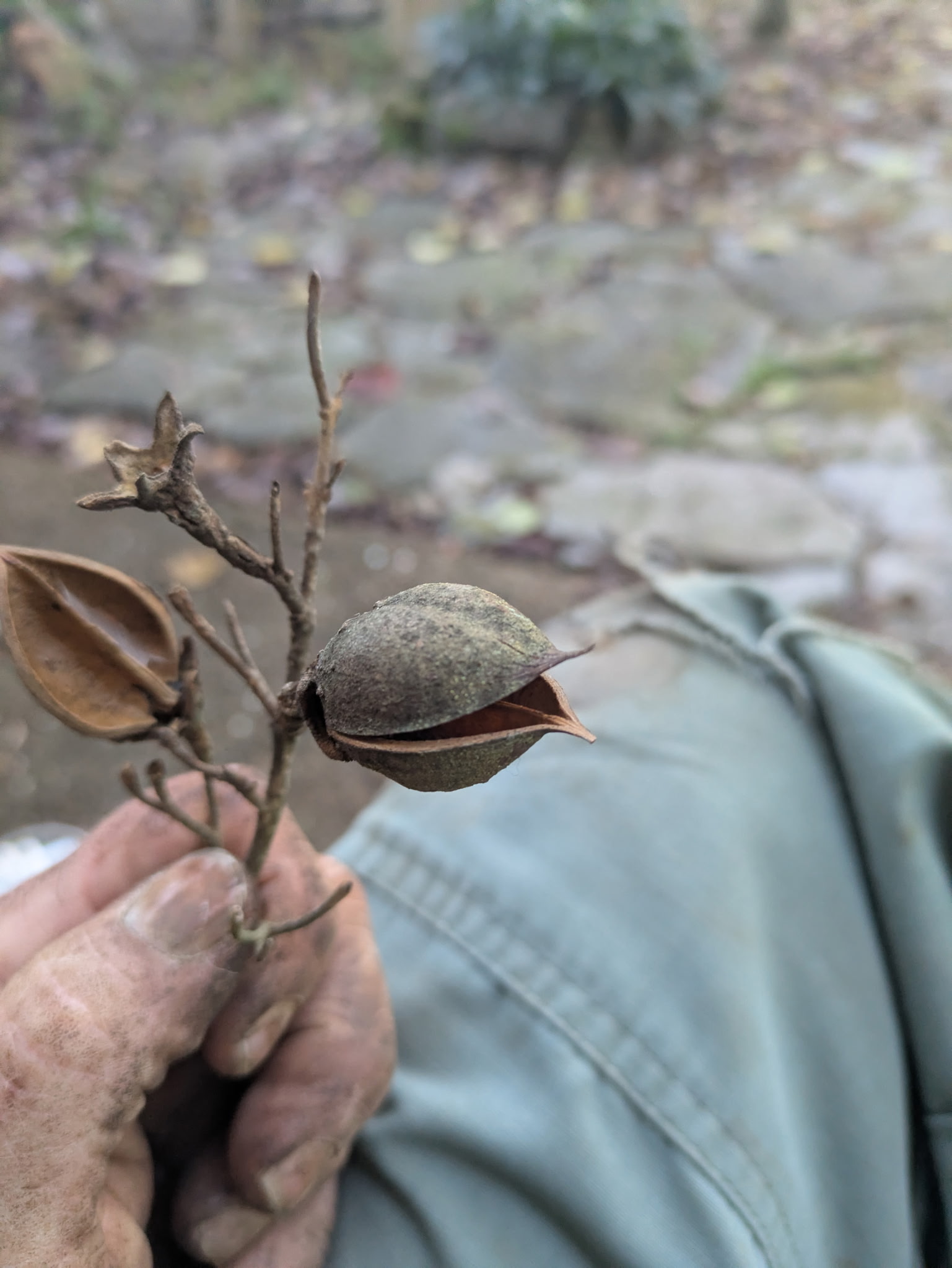 Hand holding a seedling — the care behind every project